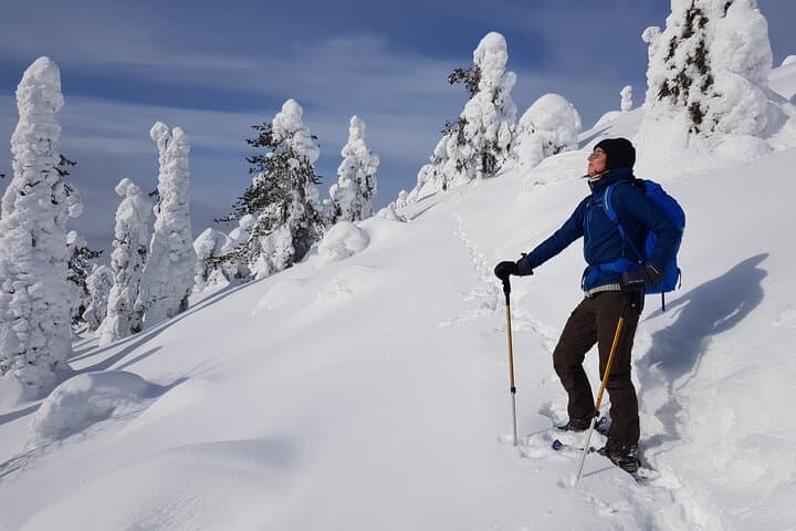 Riisitunturi National Park Snowshoe Adventure from Ruka-Kuusamo