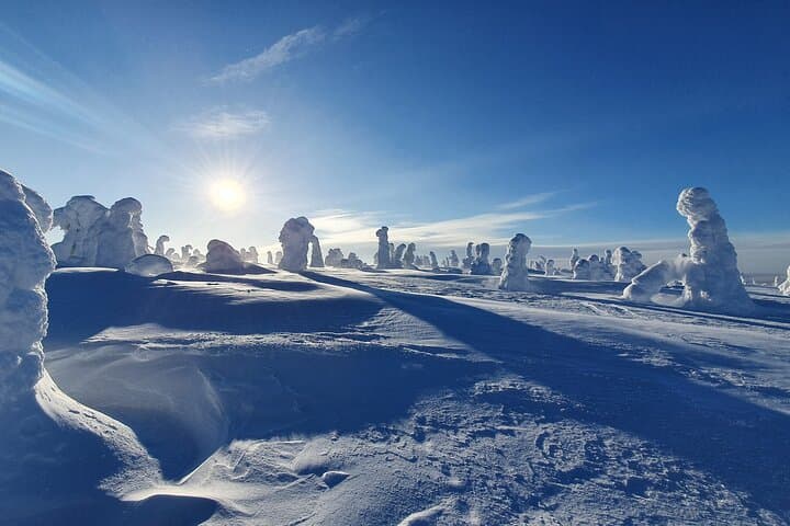 Riisitunturi National Park Snowshoe Adventure from Ruka-Kuusamo