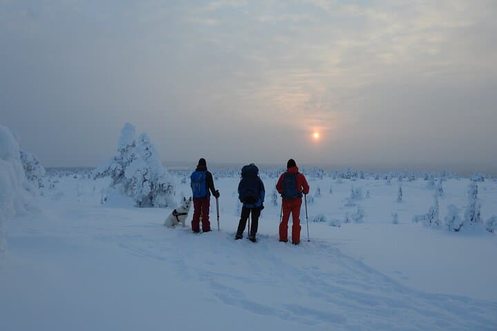 Riisitunturi National Park Snowshoe Adventure from Ruka-Kuusamo