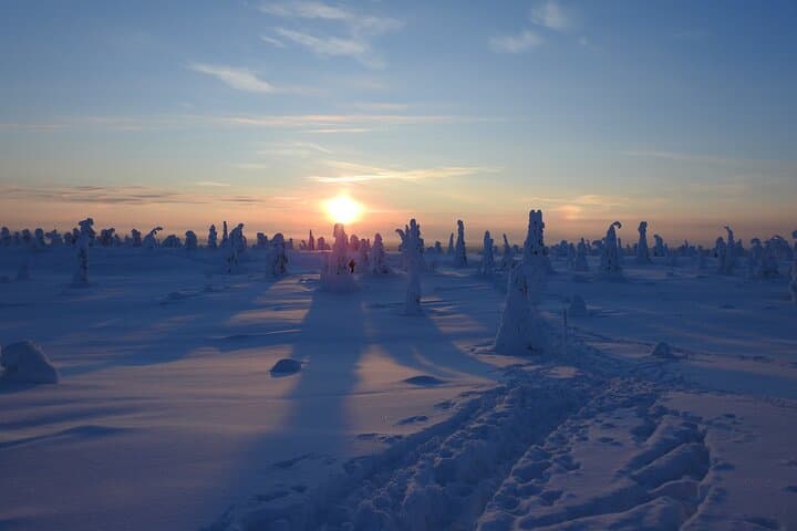 Riisitunturi National Park Snowshoe Adventure from Ruka-Kuusamo
