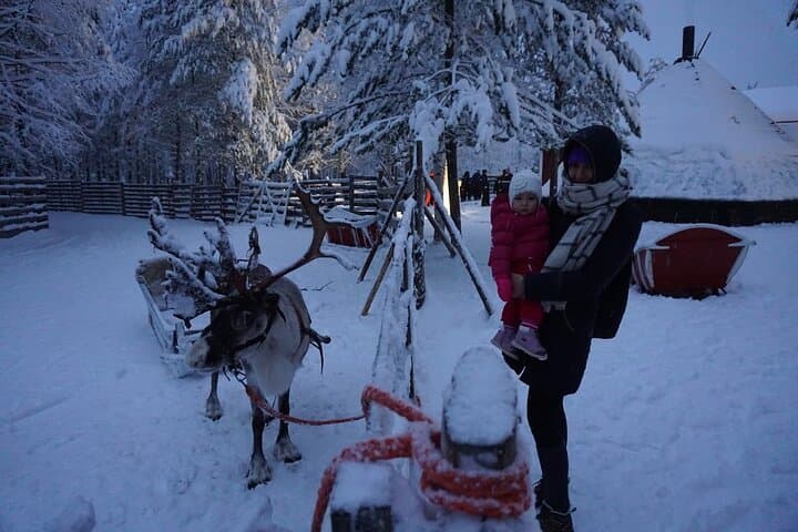 3km Reindeer safari and Traditional Lunch in the Farm