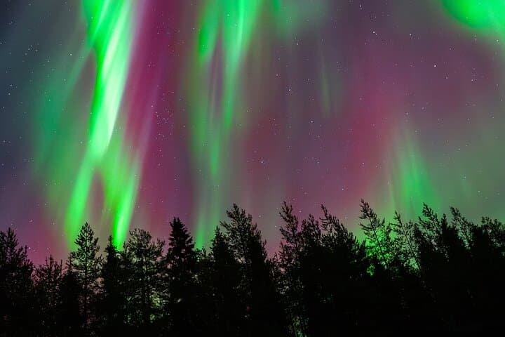 Rovaniemi: Guaranteed Small Group Northern Lights Hunt
