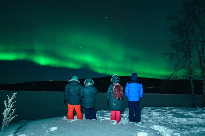 Rovaniemi: Small group northern lights hunt-money back guarantee