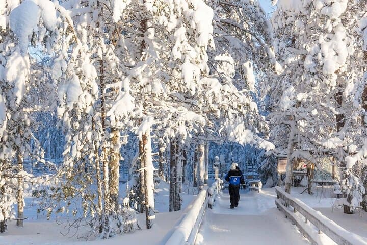 From Rovaniemi: Family Friendly Visit to Ranua Wildlife Park