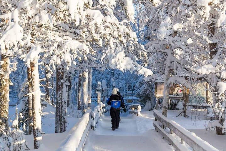 Rovaniemi Insider: Guided Tour in Ranua Zoo