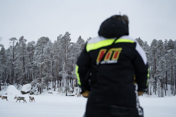 Ivalo: Reindeer herd and fishing experience