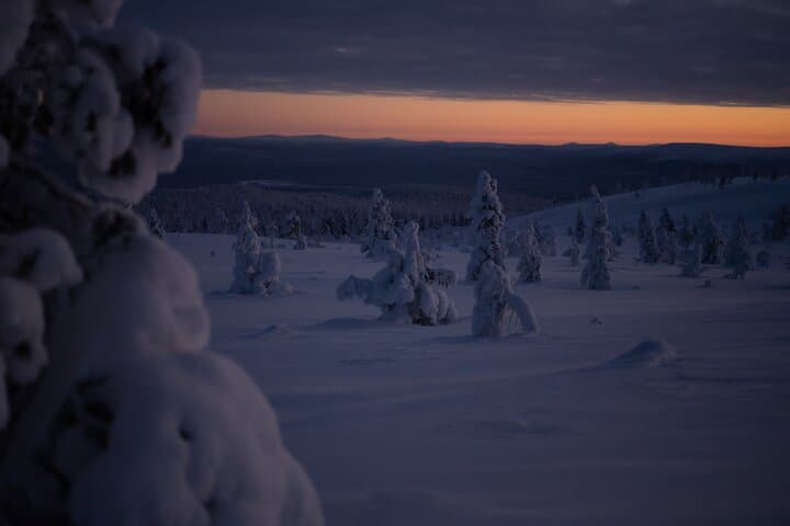 Ivalo: Wilderness Adventure by Snowmobile Sleigh