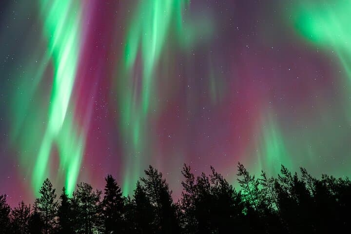Rovaniemi Insider: Northern lights trip for families