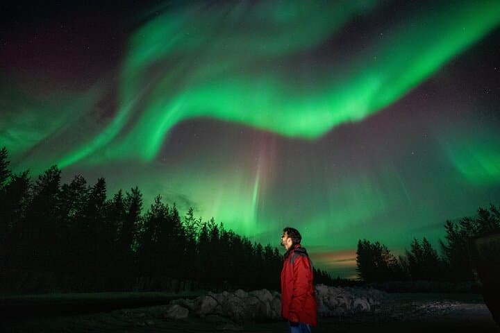 Rovaniemi Insider: Northern lights trip for families