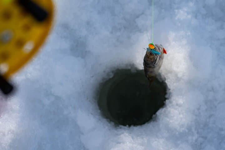 Ice Fishing in a small group with snowshoeing and salmon soup