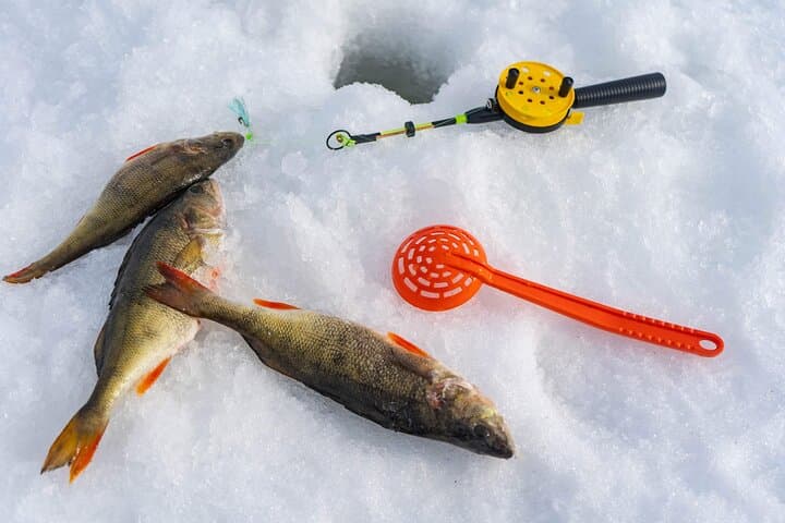 Ice Fishing in a small group with snowshoeing and salmon soup