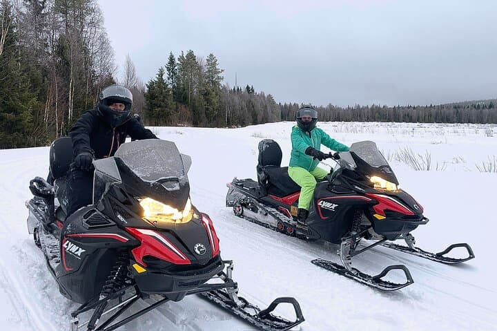 Snowmobile drive experience
