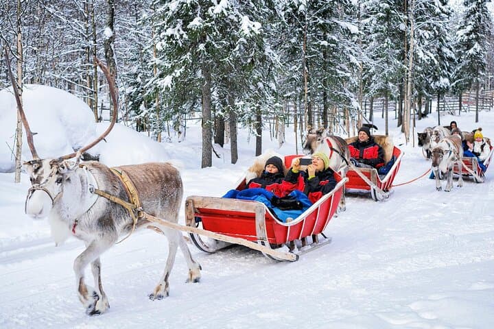 Arctic Reindeer Sled Safari