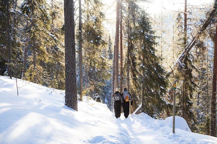 Frozen Waterfalls of Korouoma Canyon tour with Pro Photos & BBQ