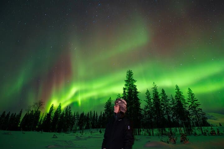 Rovaniemi Insider: Guaranteed Northern Lights Tour