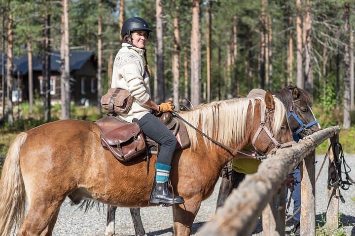 Finnhorse