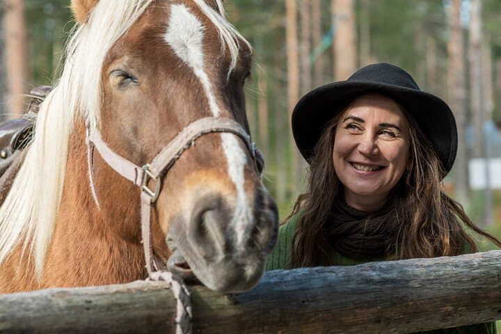 Finnhorse and rider