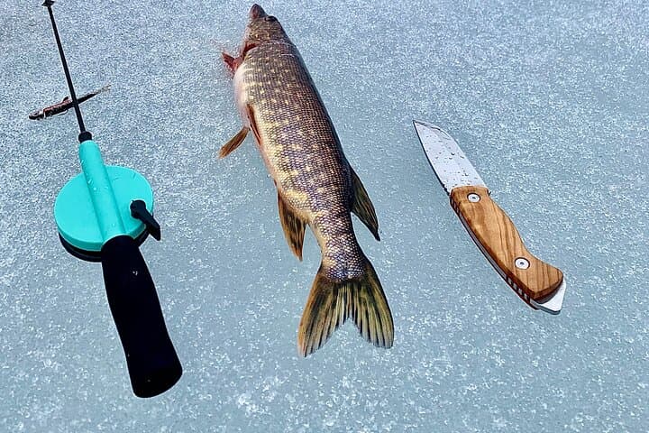 Ice fishing Day in Lapland