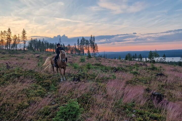Horseback Ride in Finnish Forest from Rovaniemi