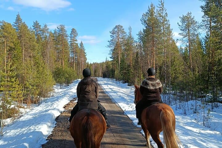 Horseback Ride in Finnish Forest from Rovaniemi