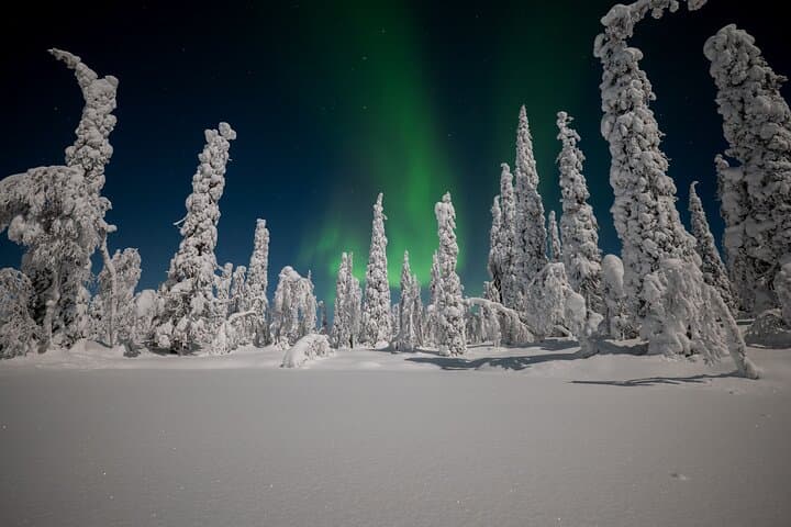 Northern Lights in winter