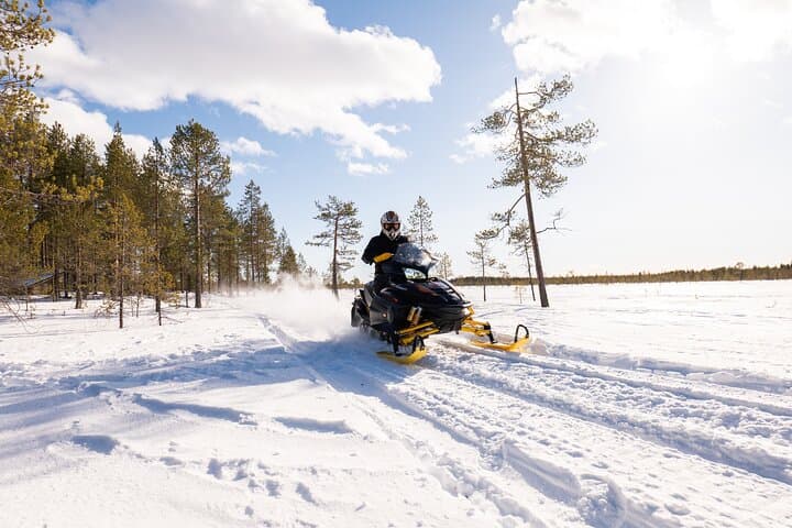 Snowmobile Adventure Ranua