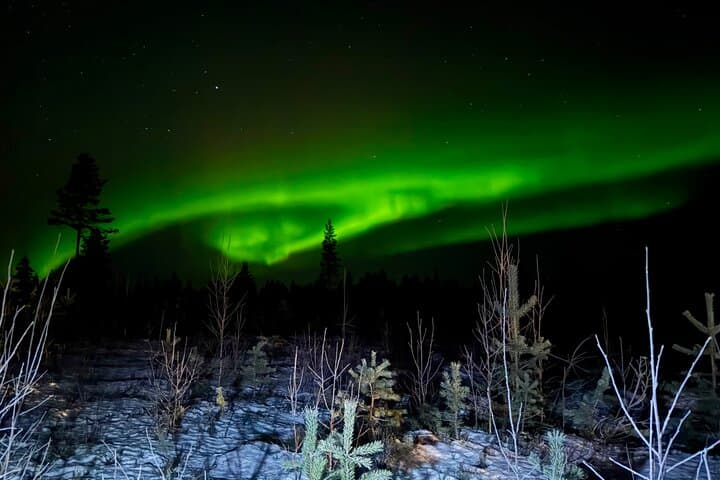 Northern Lights Hunting of Rovaniemi