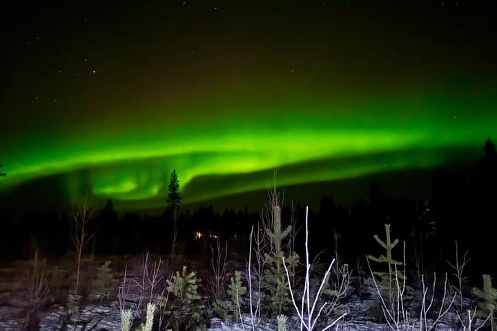 Northern Lights Hunting of Rovaniemi