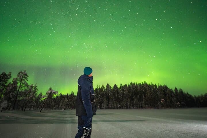Rovaniemi: Insider Christmas and New Year Family Package
