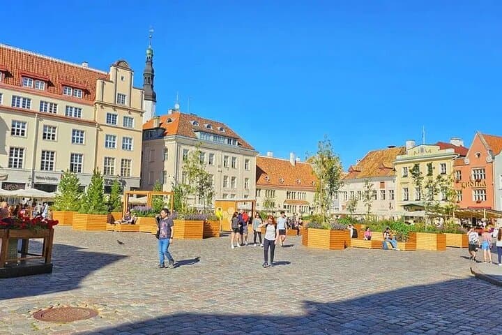 Helsinki to Tallinn History & Heritage Guided Tour with Cruise