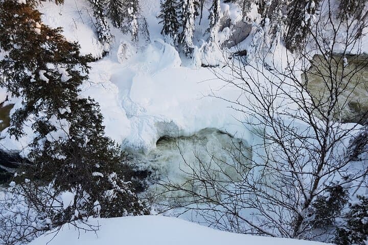 Little Bear's Trail Snowshoeing Adventure in Oulanka np
