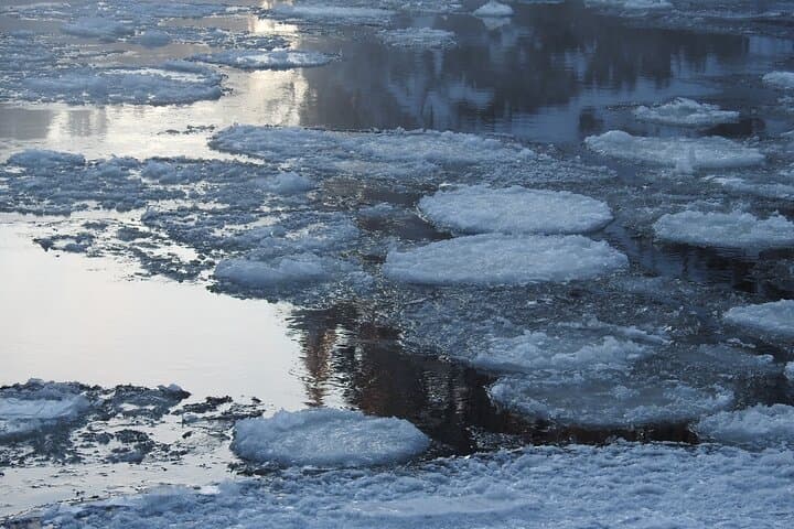Little Bear's Trail Snowshoeing Adventure in Oulanka np