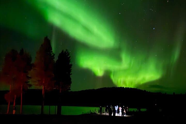 Aurora Hunting Tour from Saariselkä/Inari