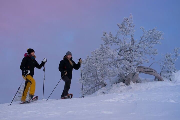 LEVI Winter Snowshoeing in the Finnish Wilderness (ALL INCLUDED)