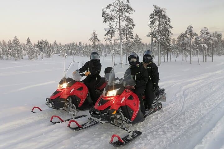 2-Hour Snowmobile Experience (Small Group of 8)