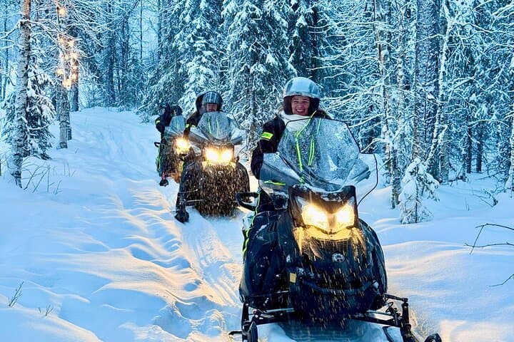 Small Group: Snowmobile Safari from Riverside Lodge 3h
