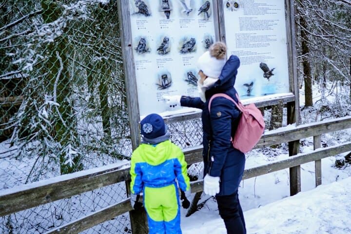 Rovaniemi: Ranua Arctic Wildlife Zoo Park Tour & Hot BBQ lunch