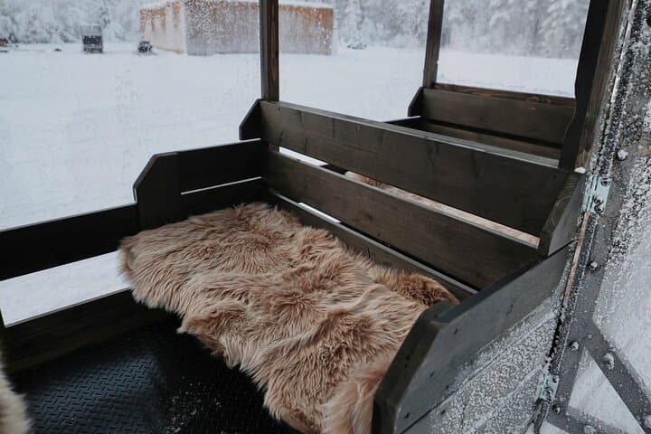 Arctic Forest Snowmobile Sleigh Ride with Snacks