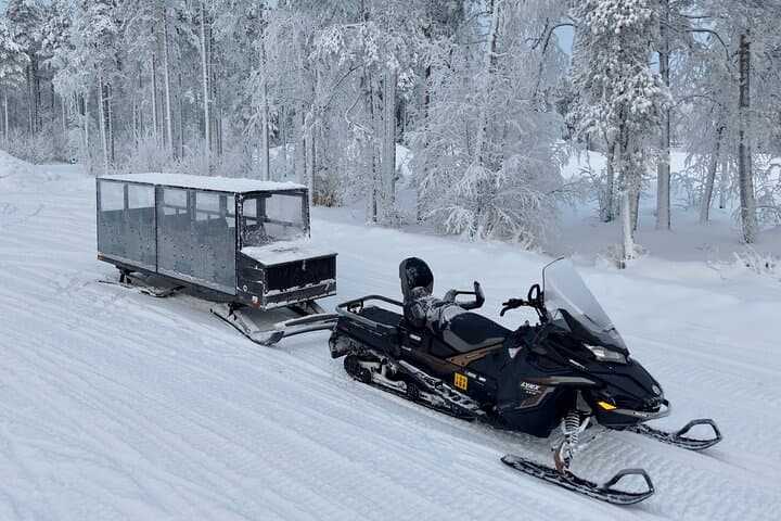 Arctic Forest Snowmobile Sleigh Ride with Snacks