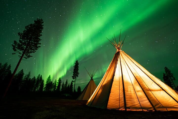 Rovaniemi Northern Light Hunt with Campfire and BBQ with Transfer