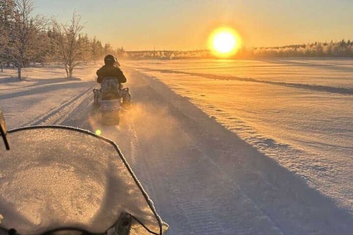 Husky Ride, Reindeer Ride and Snowmobiling Day Experience
