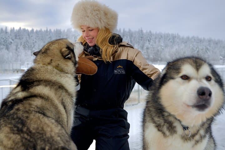Lapland Wilderness Husky Safari 7,5 km