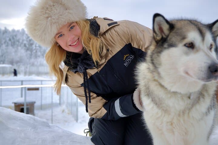Rovaniemi Lapland Husky Experience 5km