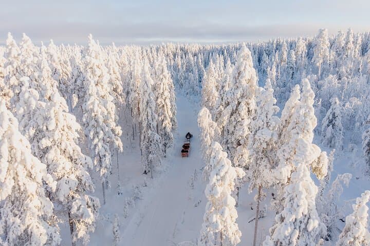 Snowmobile sleigh ride