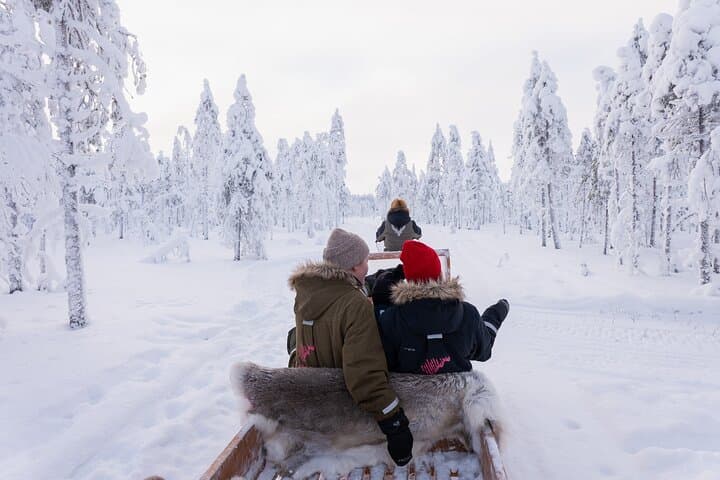 Snowmobile sleigh ride