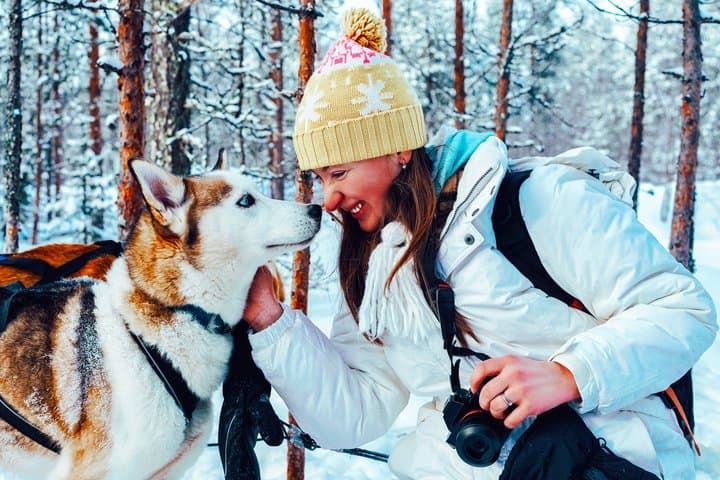 Rovaniemi: Husky & Reindeer Ride with Transfers