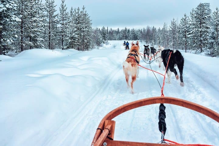https://media-cdn.tripadvisor.com/media/attractions-splice-spp-720x480/r/32/85/5e/9a/caption.jpg