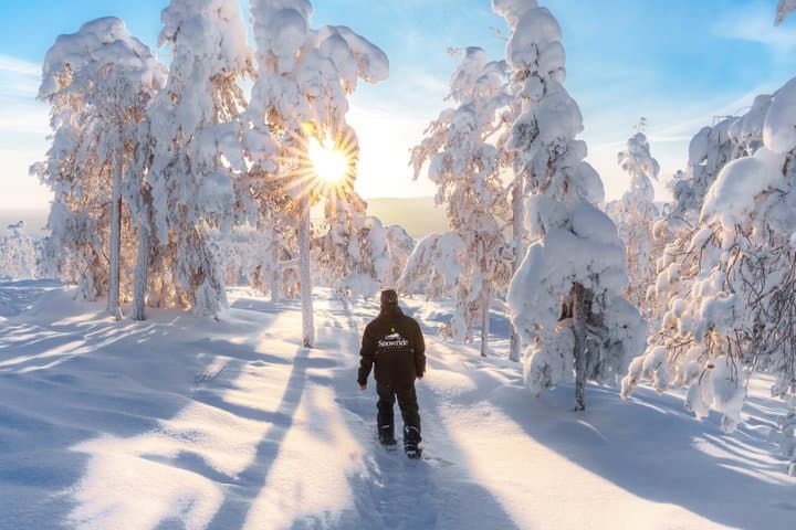 Snowmobile and Snowshoeing in Rovaniemi, in small group