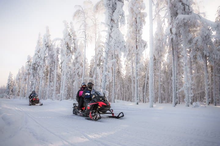 Snowmobile and Snowshoeing in Rovaniemi, in small group