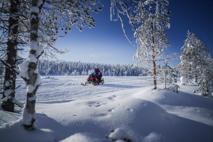 Snowmobile and Snowshoeing in Rovaniemi, in small group